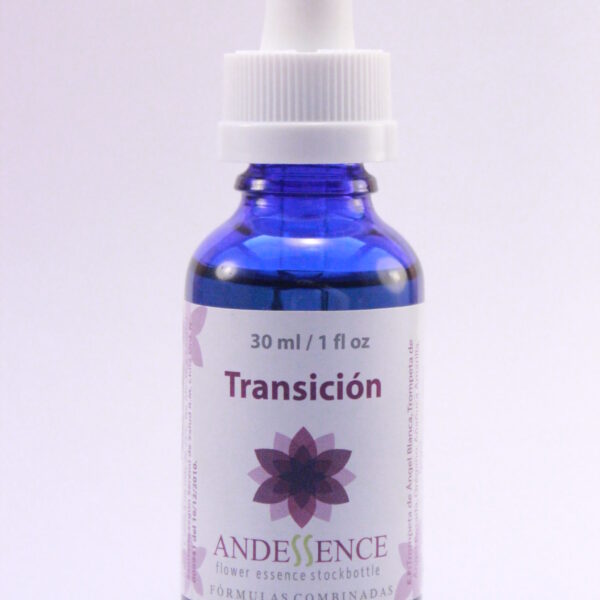 Transicion/Transition